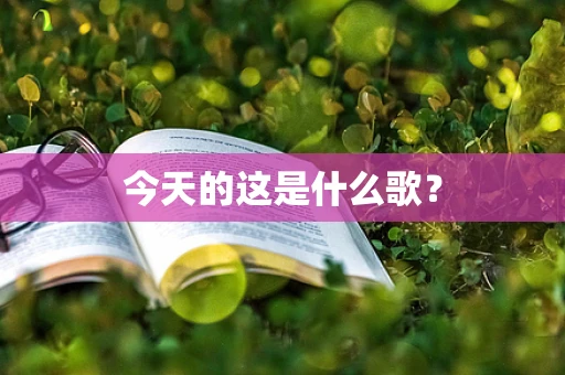 今天的这是什么歌？