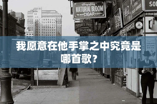 我愿意在他手掌之中究竟是哪首歌？