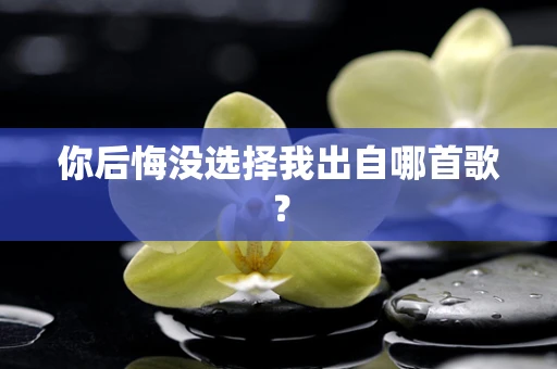 你后悔没选择我出自哪首歌？