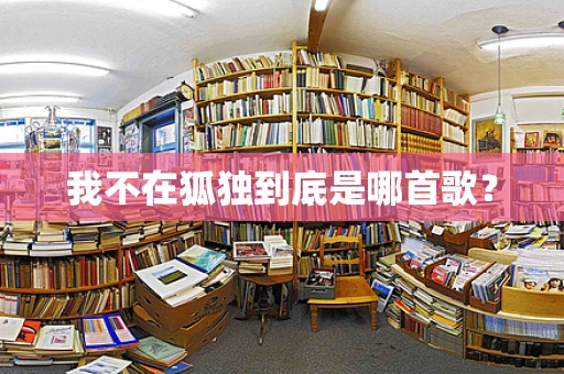 我不在狐独到底是哪首歌？