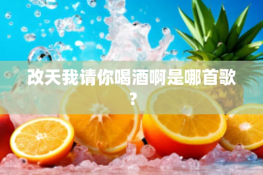 改天我请你喝酒啊是哪首歌？