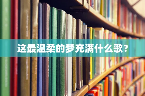 这最温柔的梦充满什么歌？