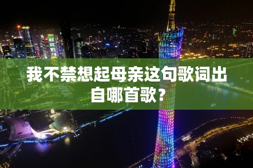 我不禁想起母亲这句歌词出自哪首歌？