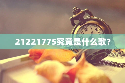 21221775究竟是什么歌？