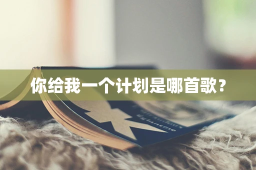 你给我一个计划是哪首歌？