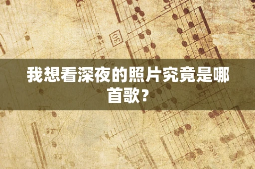 我想看深夜的照片究竟是哪首歌？