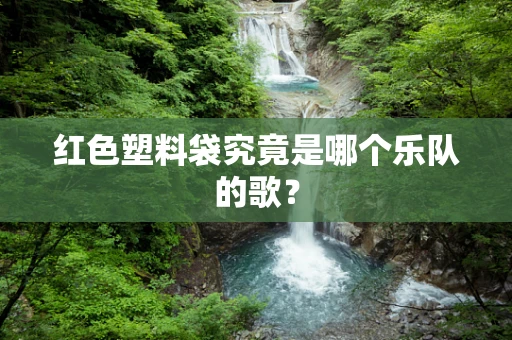 红色塑料袋究竟是哪个乐队的歌？