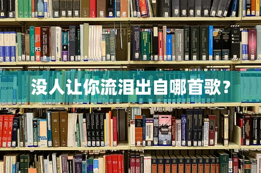 没人让你流泪出自哪首歌？