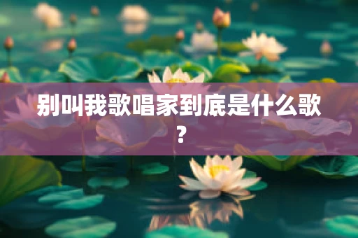 别叫我歌唱家到底是什么歌？