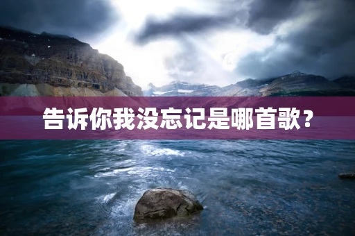 告诉你我没忘记是哪首歌？