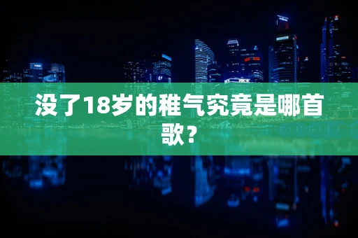 没了18岁的稚气究竟是哪首歌？