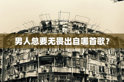 男人总要无畏出自哪首歌？