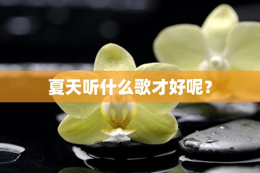 夏天听什么歌才好呢？