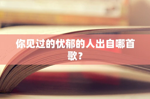 你见过的忧郁的人出自哪首歌？