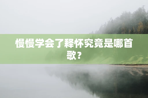 慢慢学会了释怀究竟是哪首歌？