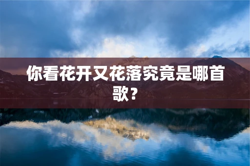 你看花开又花落究竟是哪首歌？