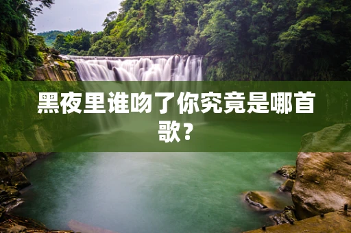黑夜里谁吻了你究竟是哪首歌？