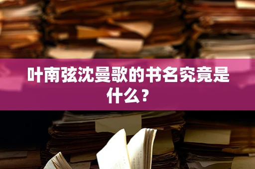 叶南弦沈曼歌的书名究竟是什么？