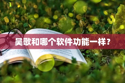吴歌和哪个软件功能一样？