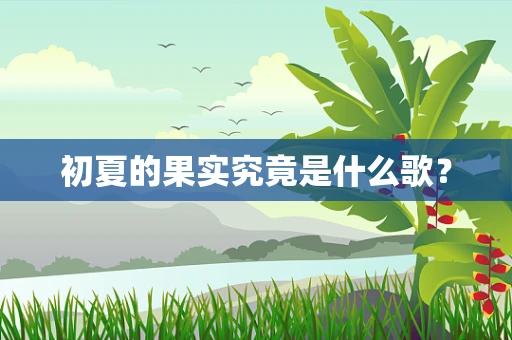 初夏的果实究竟是什么歌？