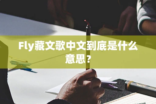 Fly藏文歌中文到底是什么意思？