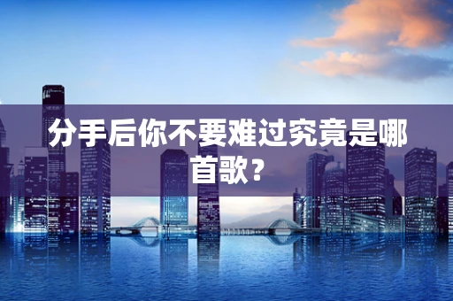 分手后你不要难过究竟是哪首歌？