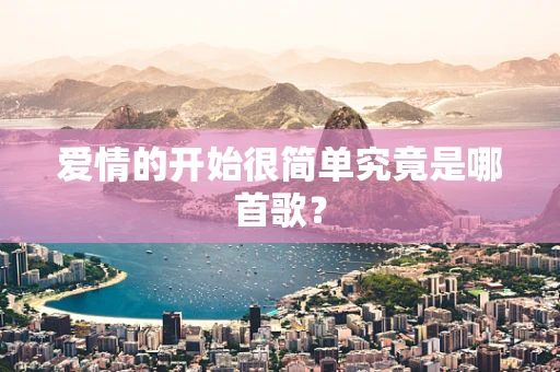 爱情的开始很简单究竟是哪首歌？
