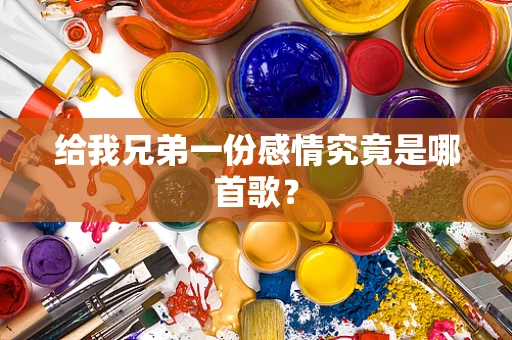 给我兄弟一份感情究竟是哪首歌？