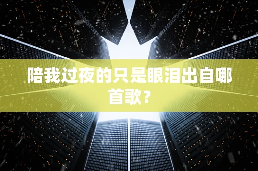 陪我过夜的只是眼泪出自哪首歌？