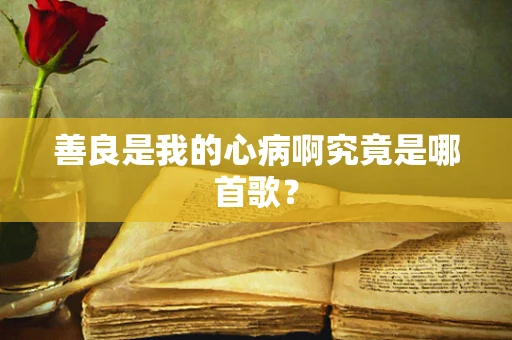 善良是我的心病啊究竟是哪首歌？