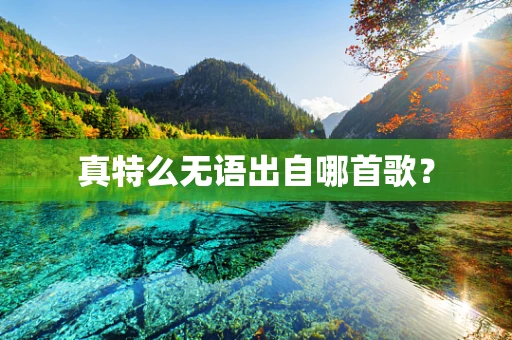 真特么无语出自哪首歌？