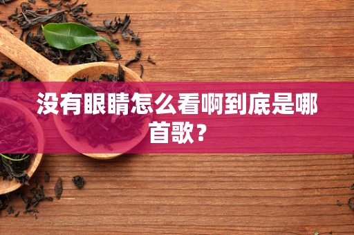 没有眼睛怎么看啊到底是哪首歌？