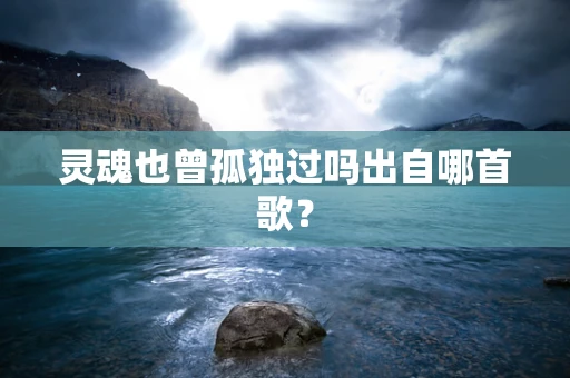 灵魂也曾孤独过吗出自哪首歌？
