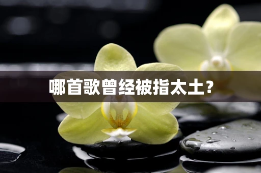 哪首歌曾经被指太土？