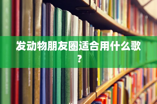 发动物朋友圈适合用什么歌？
