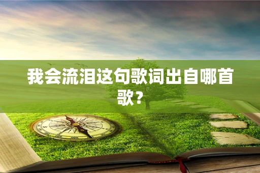 我会流泪这句歌词出自哪首歌？