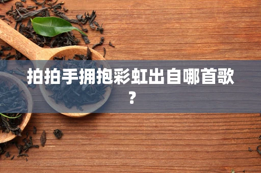 拍拍手拥抱彩虹出自哪首歌？