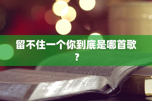 留不住一个你到底是哪首歌？