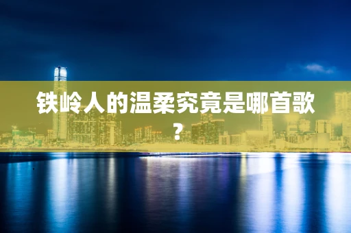 铁岭人的温柔究竟是哪首歌？