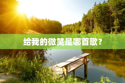 给我的微笑是哪首歌？