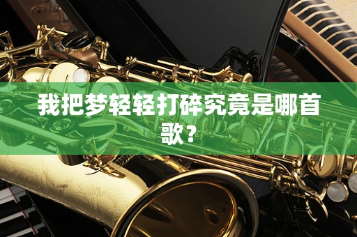 我把梦轻轻打碎究竟是哪首歌？