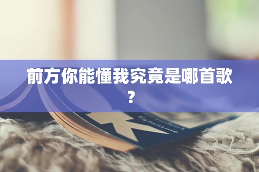 前方你能懂我究竟是哪首歌？