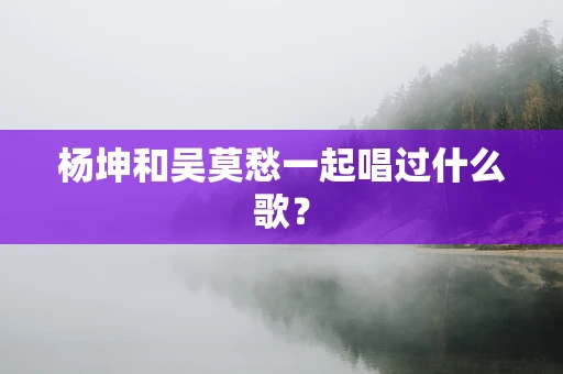 杨坤和吴莫愁一起唱过什么歌？