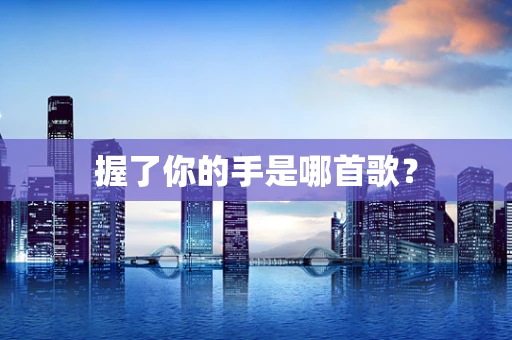 握了你的手是哪首歌？
