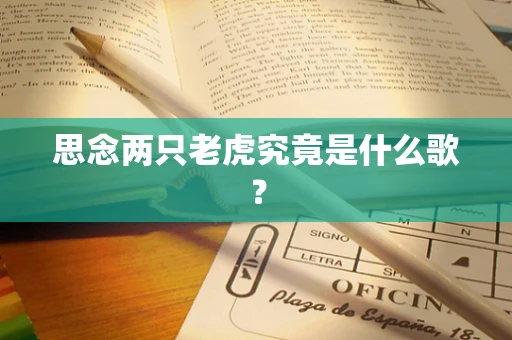 思念两只老虎究竟是什么歌？