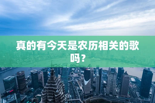 真的有今天是农历相关的歌吗？