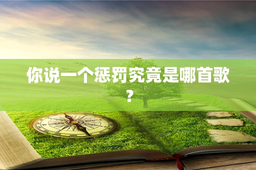 你说一个惩罚究竟是哪首歌？