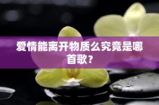 爱情能离开物质么究竟是哪首歌？