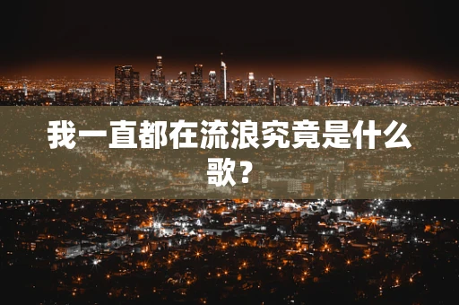 我一直都在流浪究竟是什么歌？