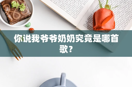 你说我爷爷奶奶究竟是哪首歌？